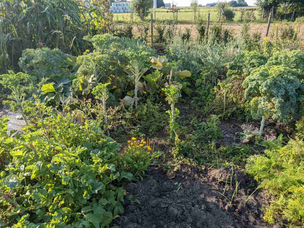 Tuin